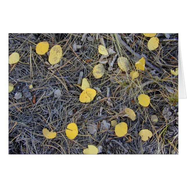 Aspen Ground II-kort Hälsningskort (Framsidan Horizontal)