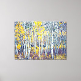 Aspen Grove Canvastryck