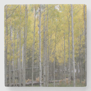 Aspen gult glow stenunderlägg