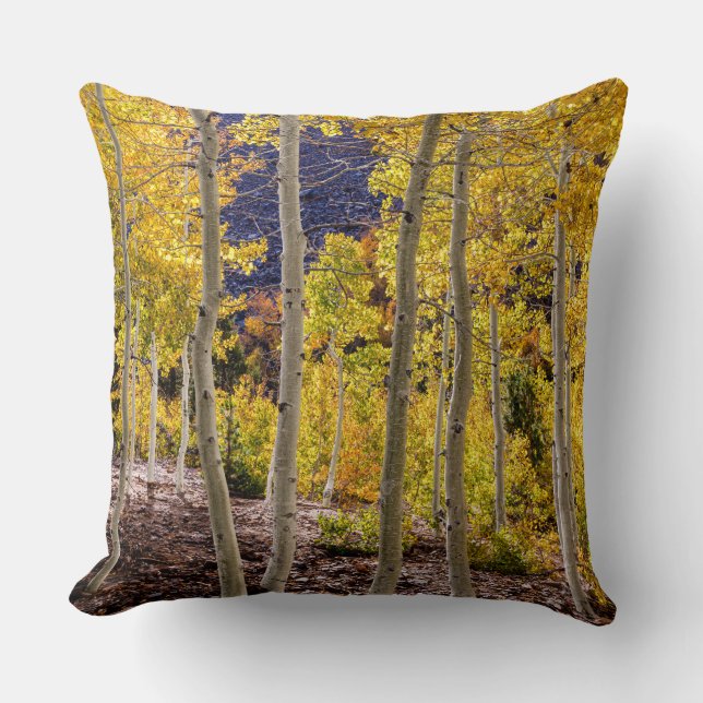 Aspen Hösten Kudde (Framsida)