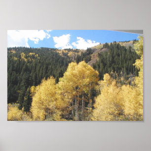 Aspen i nedgång, på Shultz passerar vägen nära Poster