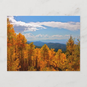 Aspen i New mexico Vykort