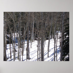 Aspen i snö poster