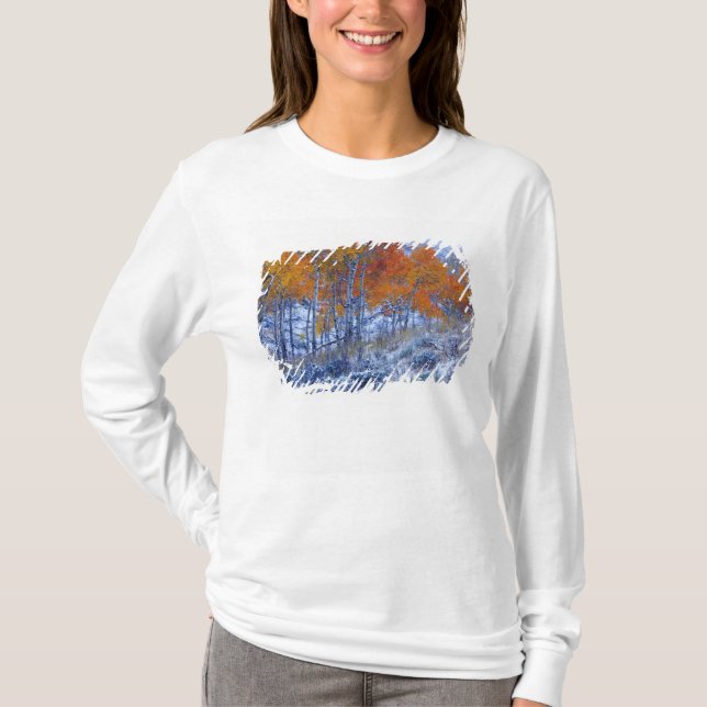 Aspen i träd i Höst färger, Bighorn Mountains T Shirt (Framsida)