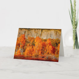Aspen Kolob Zion NP Utah Blank Greeting Card Kort