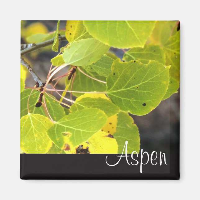 Aspen kylmagnet magnet (Framsidan)