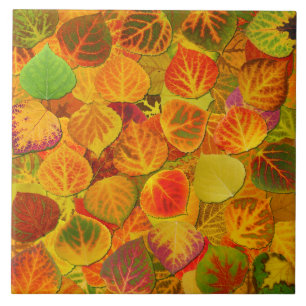 Aspen lämnar Collage fast medley 1 Kakelplatta