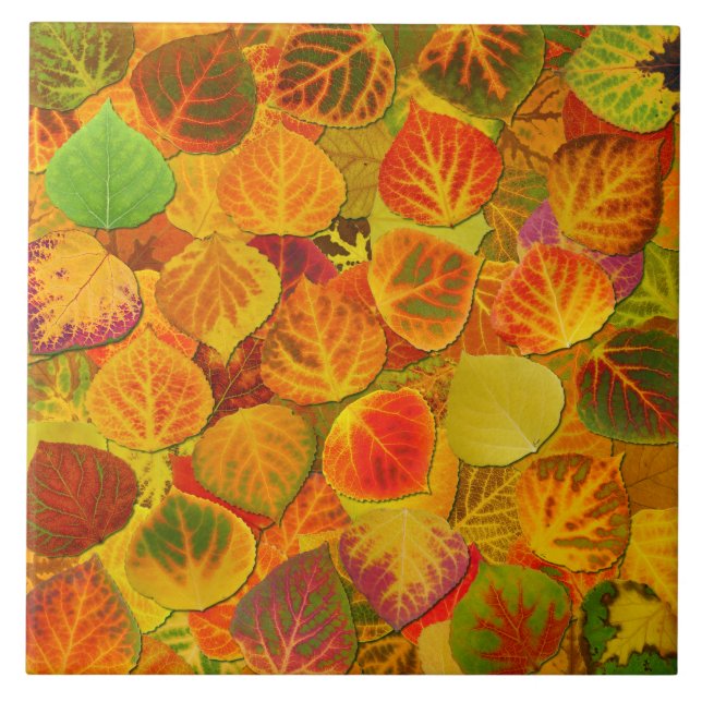 Aspen lämnar Collage fast medley 1 Kakelplatta (Framsidan)