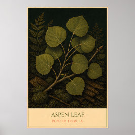 Aspen Leaf – Vintage Botanical Illustration Poster