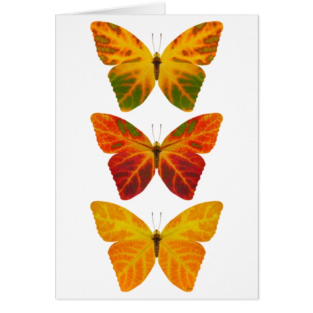 Aspen Löv Butterflies Hälsningskort (Framsidan)