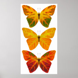 Aspen Löv Butterflies Poster