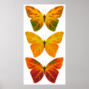 Aspen Löv Butterflies Poster