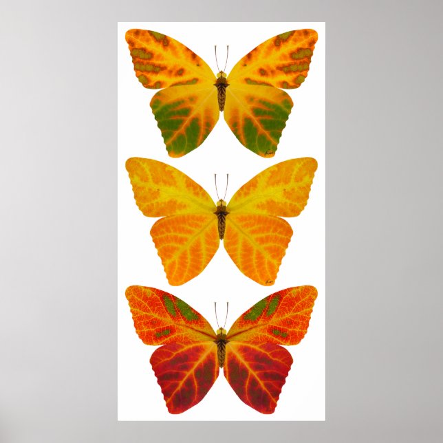 Aspen Löv Butterflies Poster (Framsidan)
