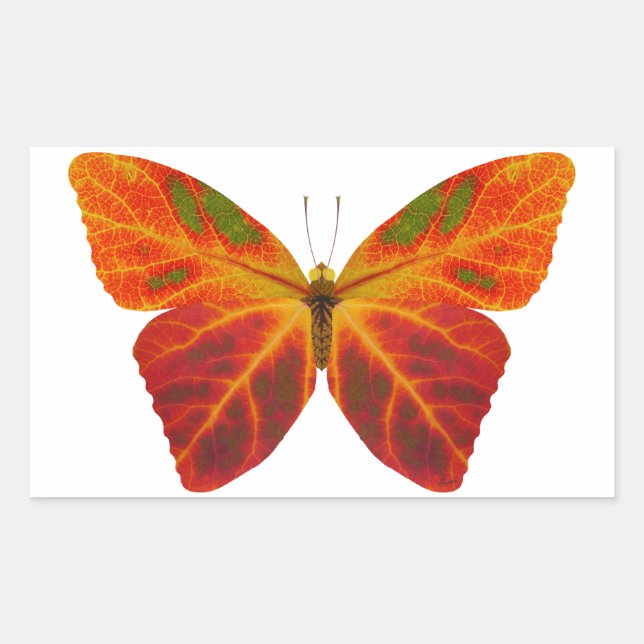 Aspen Löv Butterfly 2 Rektangulärt Klistermärke (Framsida)