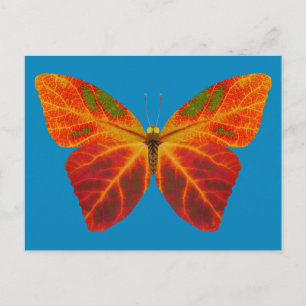 Aspen Löv Butterfly 2 Vykort