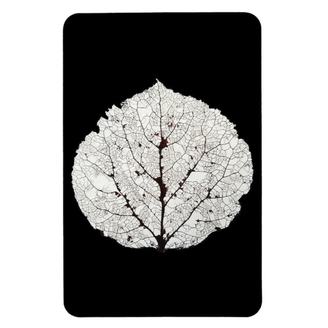 Aspen Löv Skeleton 1 Magnet (Vertikal)