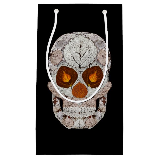Aspen Löv Skull 11 (Framsidan)