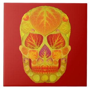 Aspen Löv Skull 13 Kakelplatta