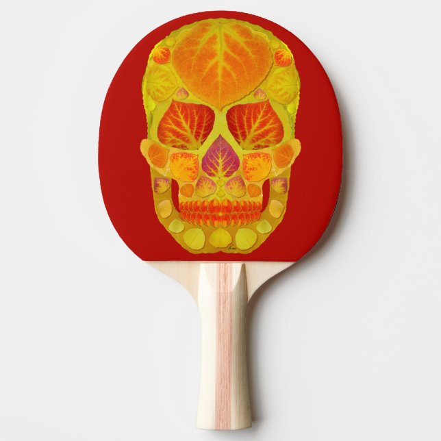 Aspen Löv Skull 13 Pingisracket (Framsidan)