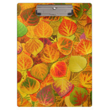 Aspen Lövs Collage Solid Medley 1