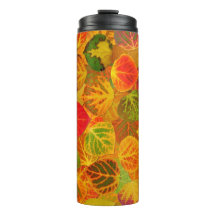 Aspen Lövs Collage Solid Medley 1