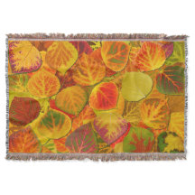 Aspen Lövs Collage Solid Medley 1