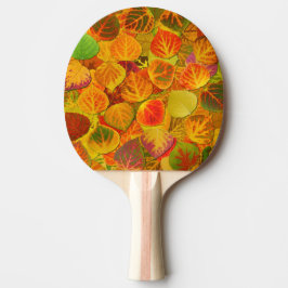 Aspen Lövs Collage Solid Medley 1 Pingisracket