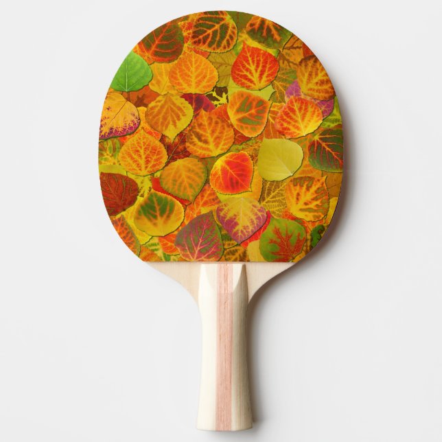 Aspen Lövs Collage Solid Medley 1 Pingisracket (Framsidan)