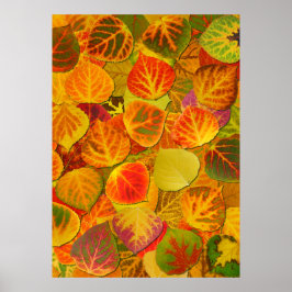 Aspen Lövs Collage Solid Medley 1 Poster