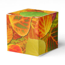 Aspen Lövs Collage Solid Medley 1