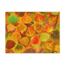 Aspen Lövs Collage Solid Medley 1