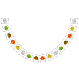 Aspen Lövs Medley Vimplar