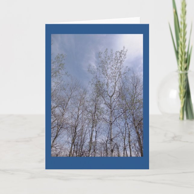 Aspen mot ett Wisconsin Himmel II-blankantecknings Kort (Framsida)