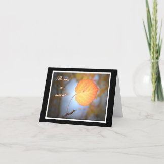 Aspen noterar kortet tack kort