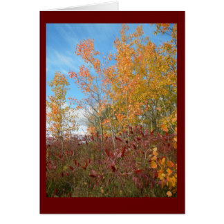 Aspen och Sumac mot tomt kort för Wisconsin himmel