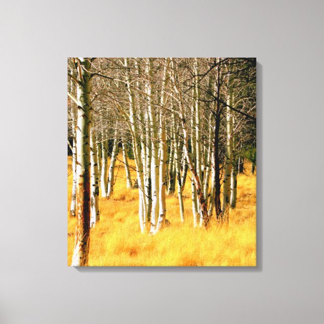 Aspen på San Francisco Peaks Canvastryck (Framsida)