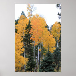 Aspen på Taos Gräs Poster