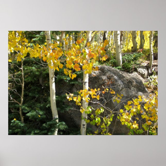 Aspen Poster (Framsidan)