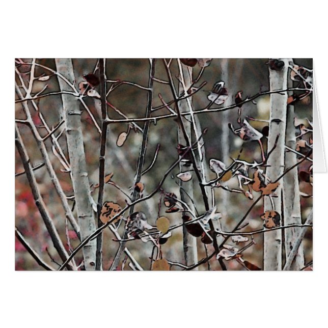 Aspen-skogar - senhöst hälsningskort (Framsidan Horizontal)