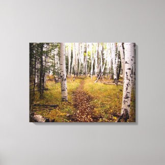 Aspen-skogen i fallet canvastryck