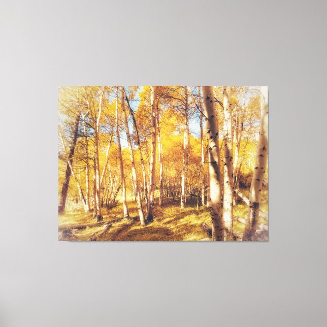 Aspen-skogen i Vibrant Höst färger Canvastryck (Framsida)