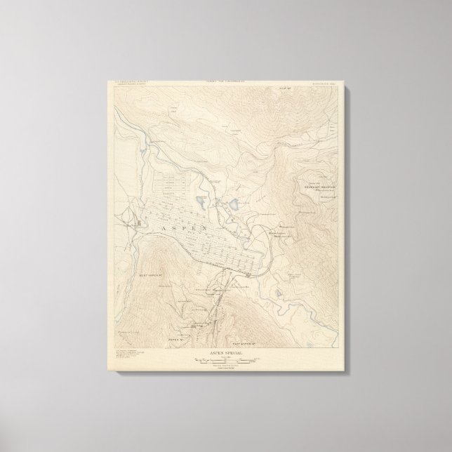 Aspen Speciell Canvastryck (Framsida)