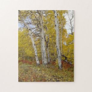 Aspen Splendor Nature Puzzle Pussel