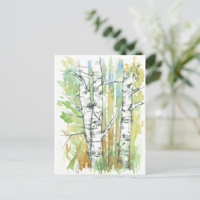 Aspen Träd Hjärtvit Bark Natur Vykort (Stående Fram)