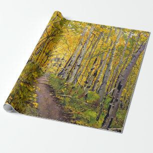 Aspen Träd i hösten Presentpapper