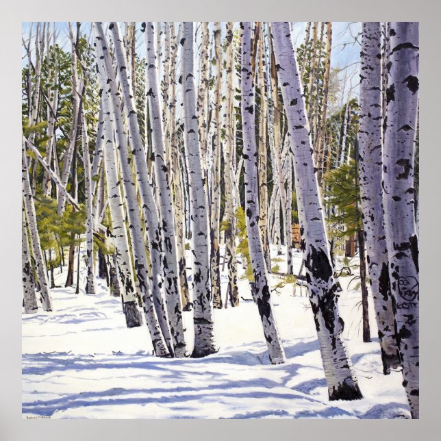 Aspen Träd i skogen Poster (Framsidan)