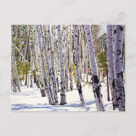 Aspen Träd i skogen Vykort