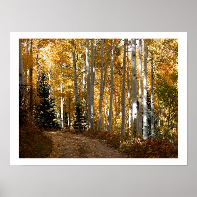 Aspen Träd Poster (Framsidan)