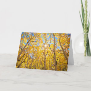 Aspen Träd Sierra Nevada Mountains, CA Kort