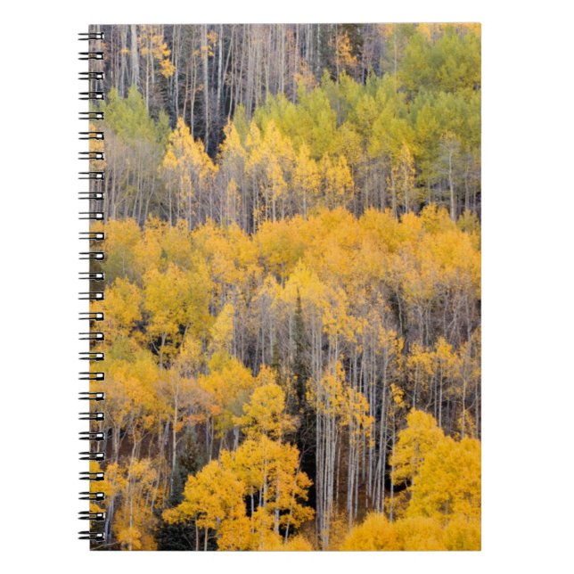 Aspen Träd | Vitflodens nationella skog Anteckningsbok (Framsidan)